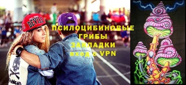 гидра Богданович