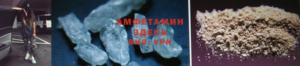 гидра Богданович