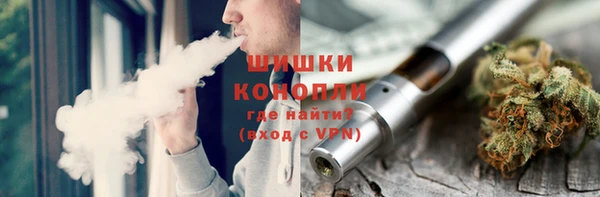 гидра Богданович