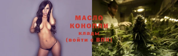 гидра Богданович
