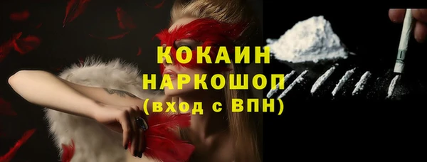 гидра Богданович