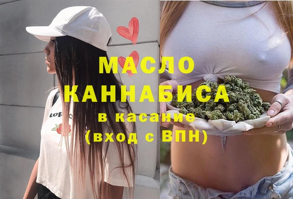 гидра Богданович