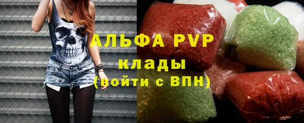 гидра Богданович