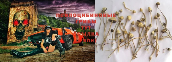 дурь Ельня
