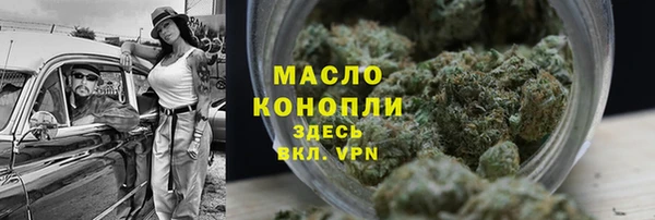 гидра Богданович