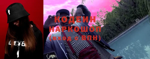 гидра Богданович